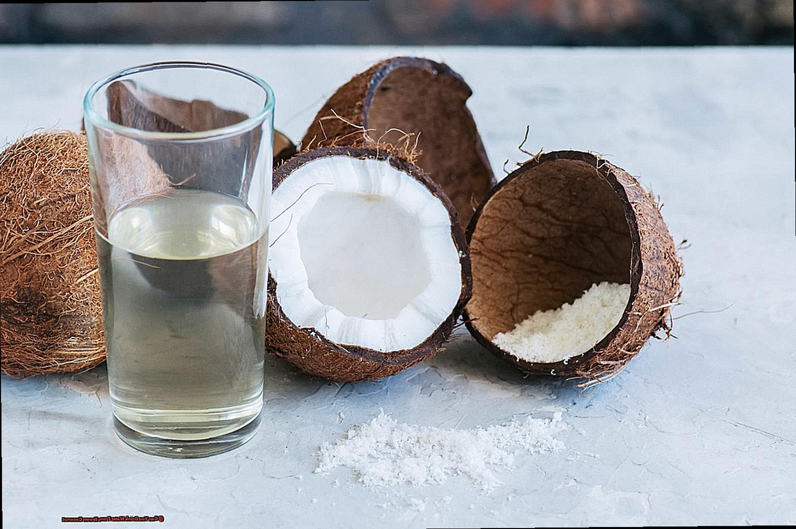 Can You Drink Water From Brown Coconut-2