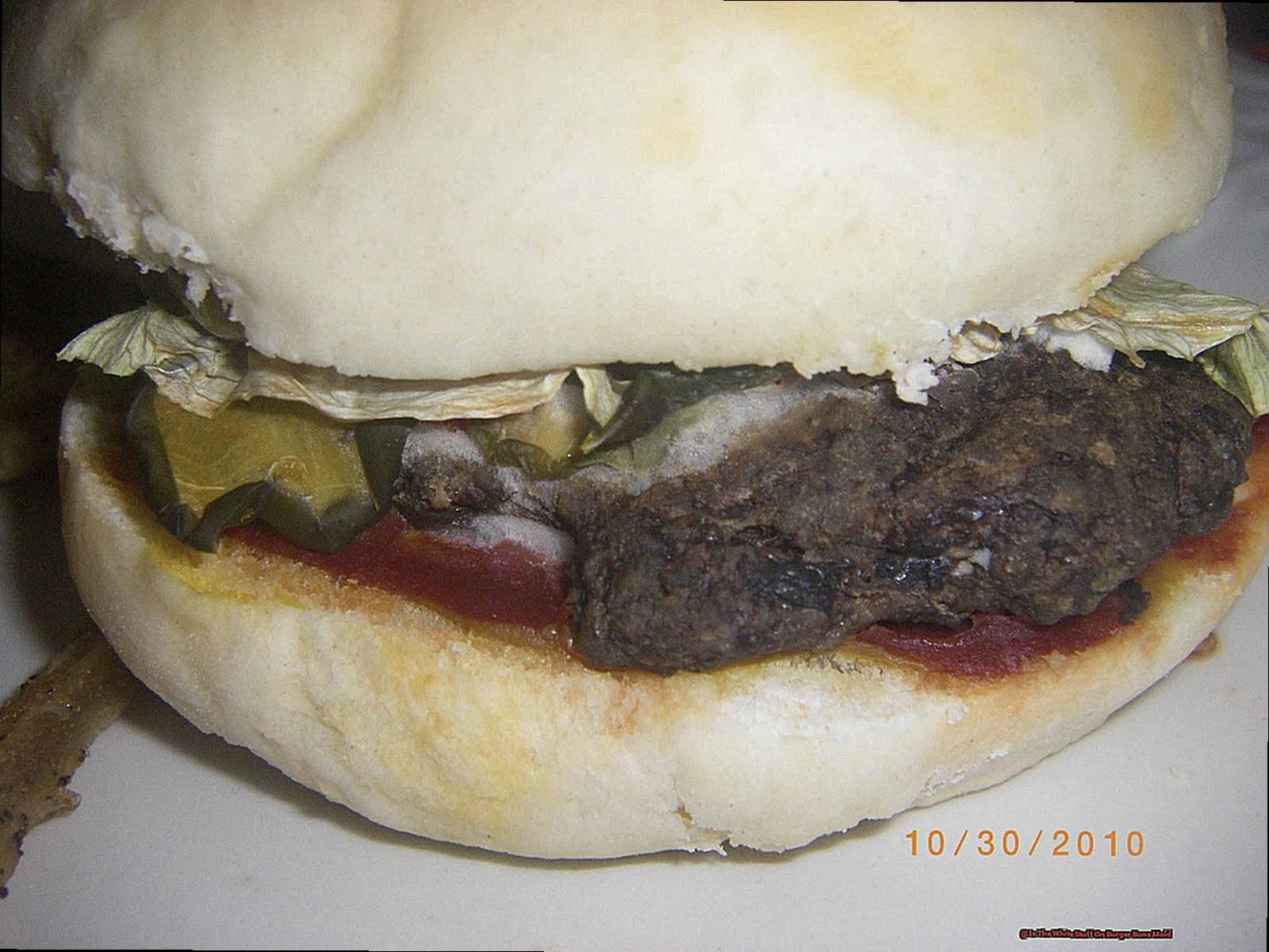 Is The White Stuff On Burger Buns Mold-4