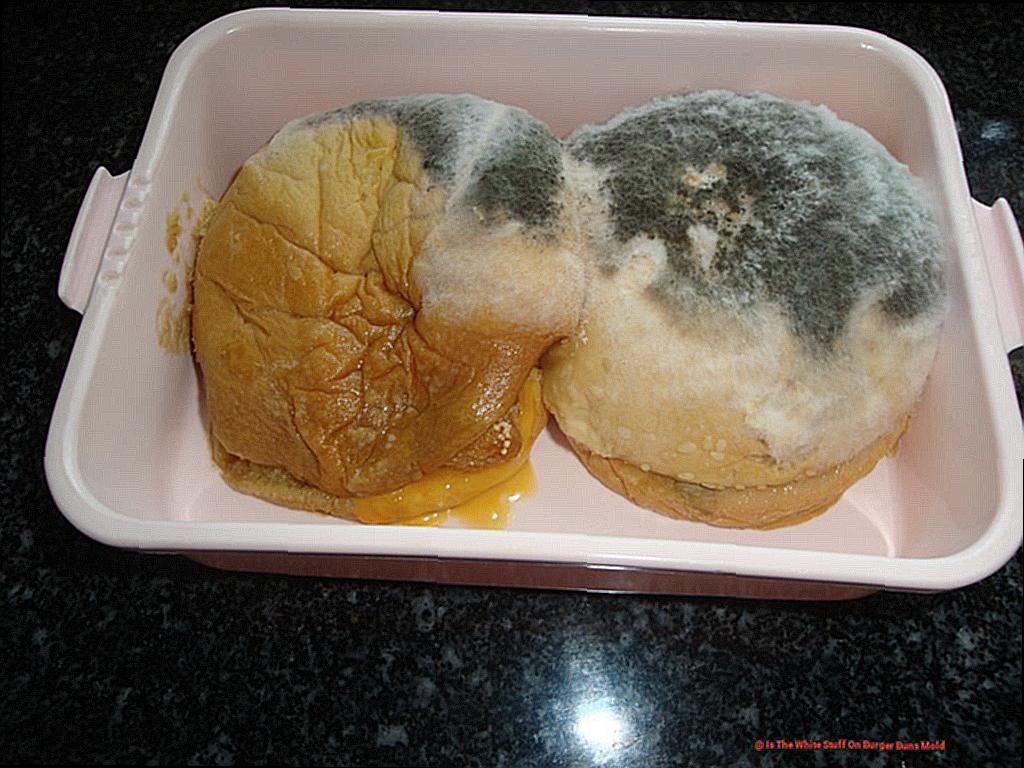 Is The White Stuff On Burger Buns Mold-3
