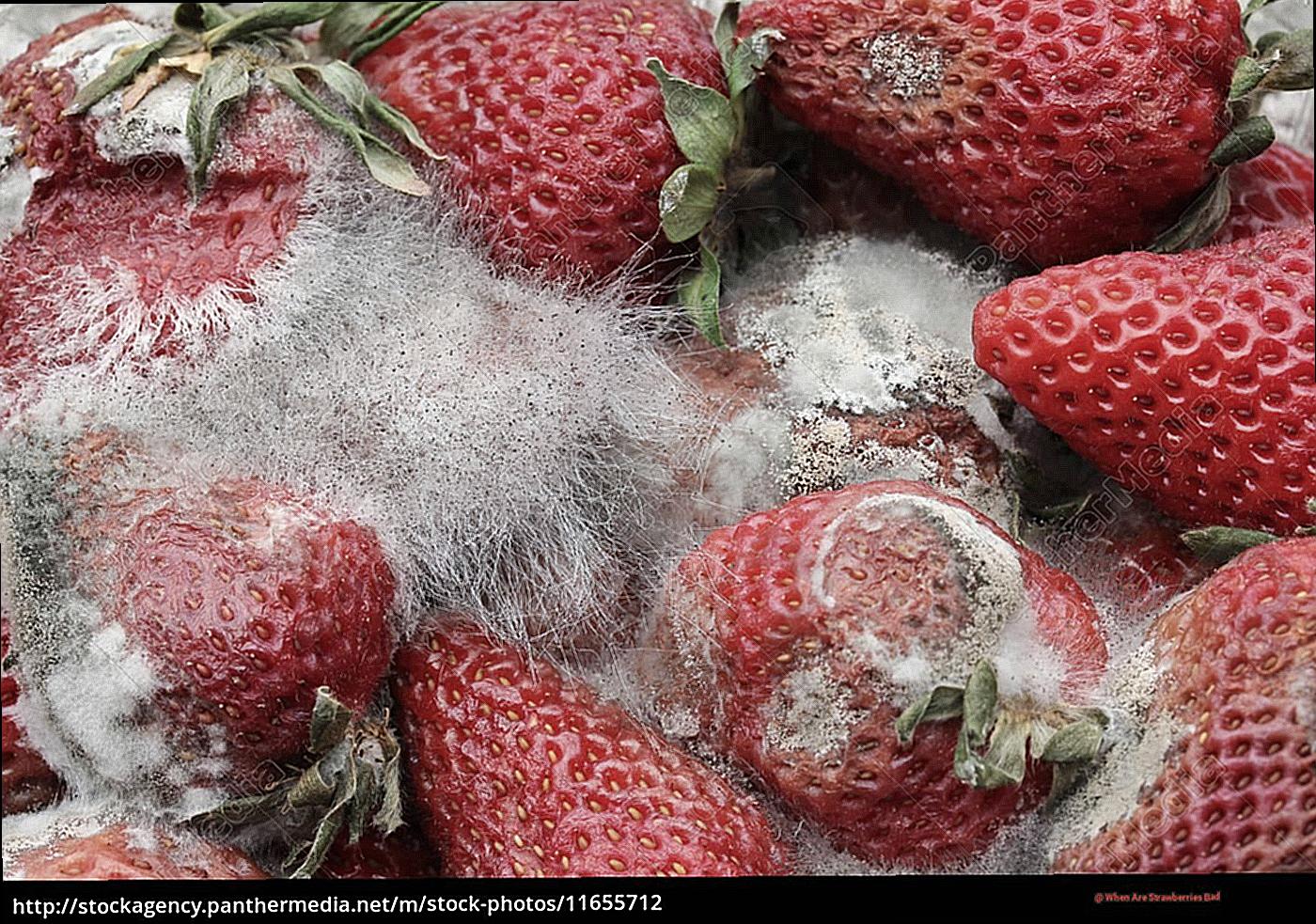 When Are Strawberries Bad?